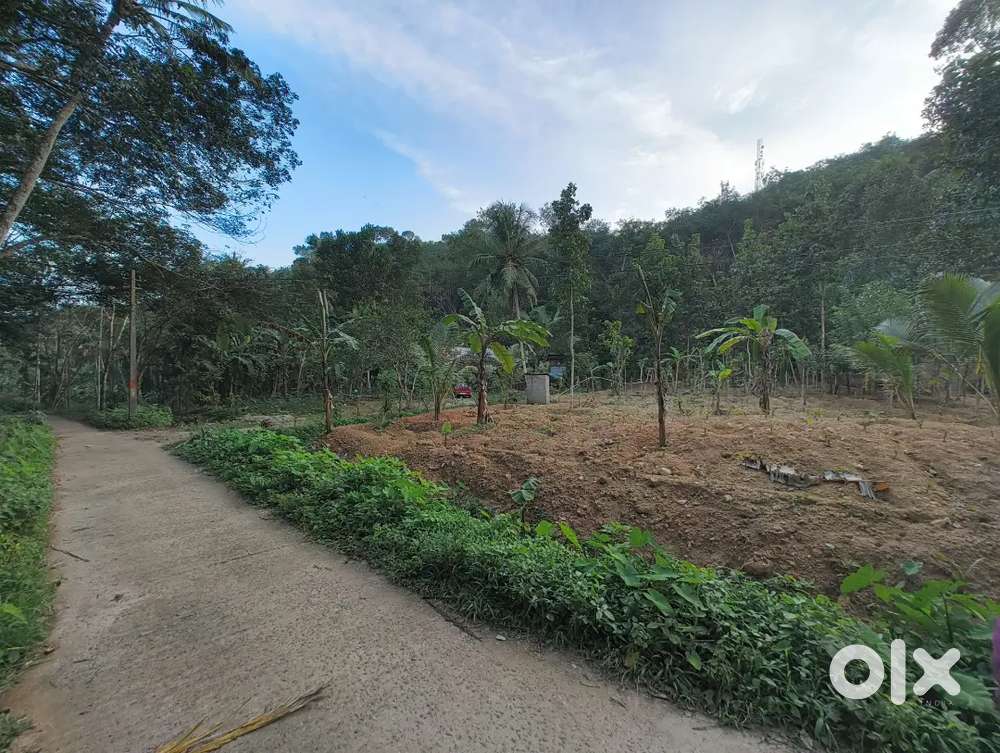 50 cent Plot for sale