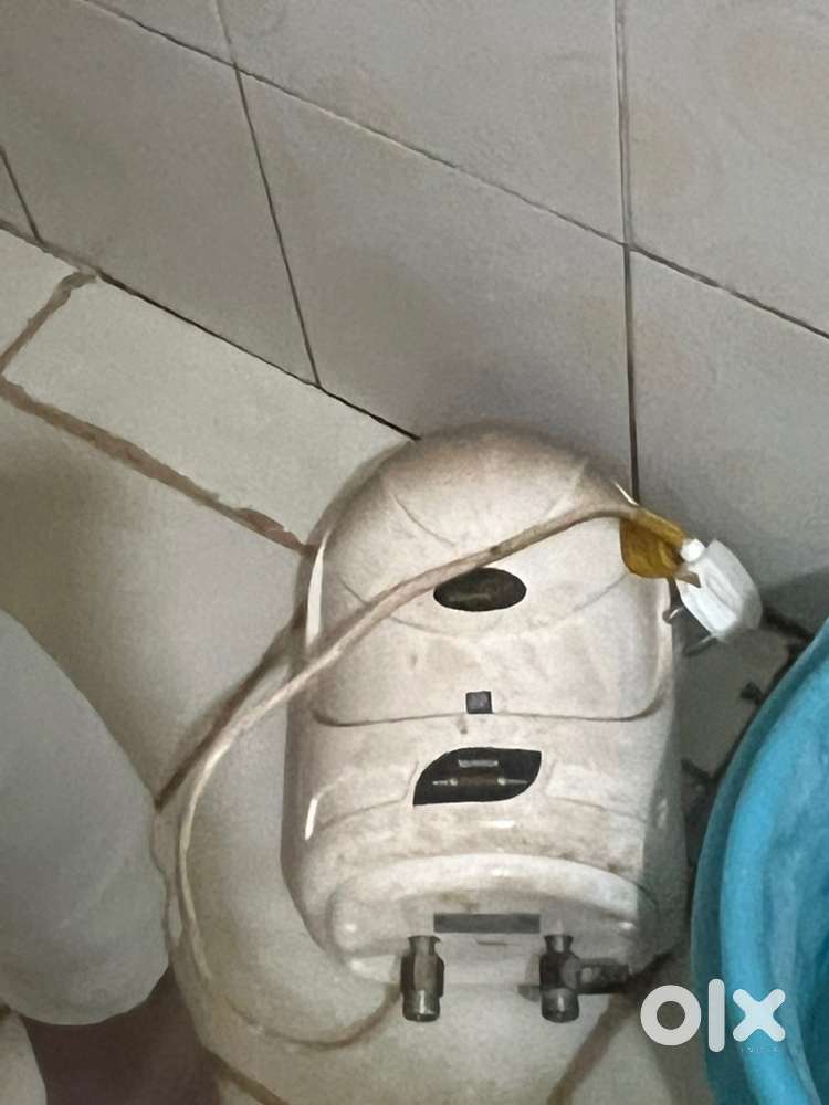 geyser small size mini