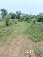 25*63 plat sele area pushpraj nagar rewa