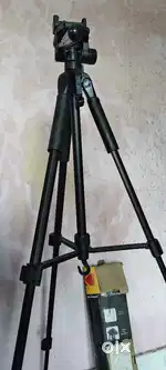 Cemara stand