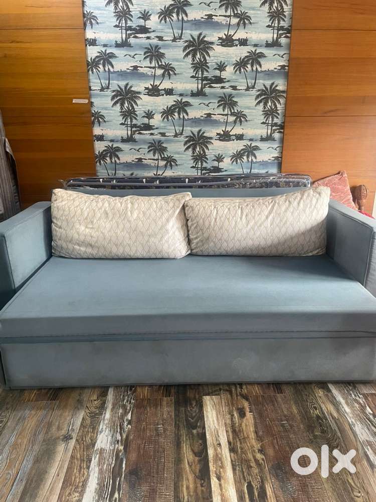 Sofa Cum bed