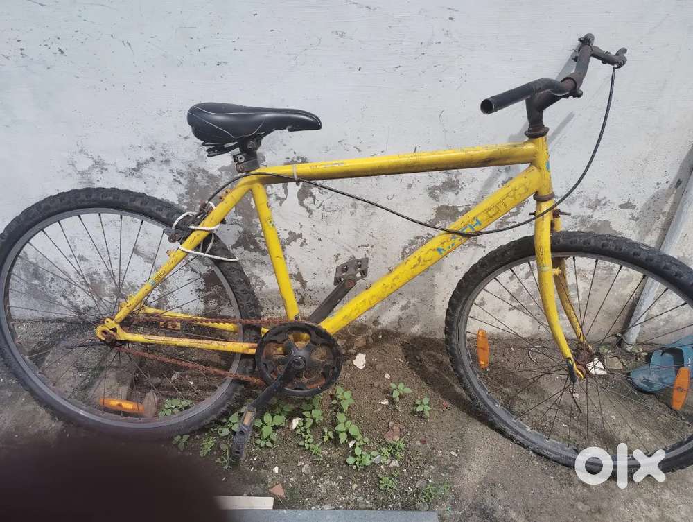 Match city cycle