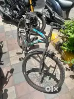 One year old cycle