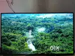Redmi 55inch LED TV