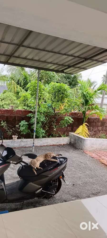 House for sale at moonammile