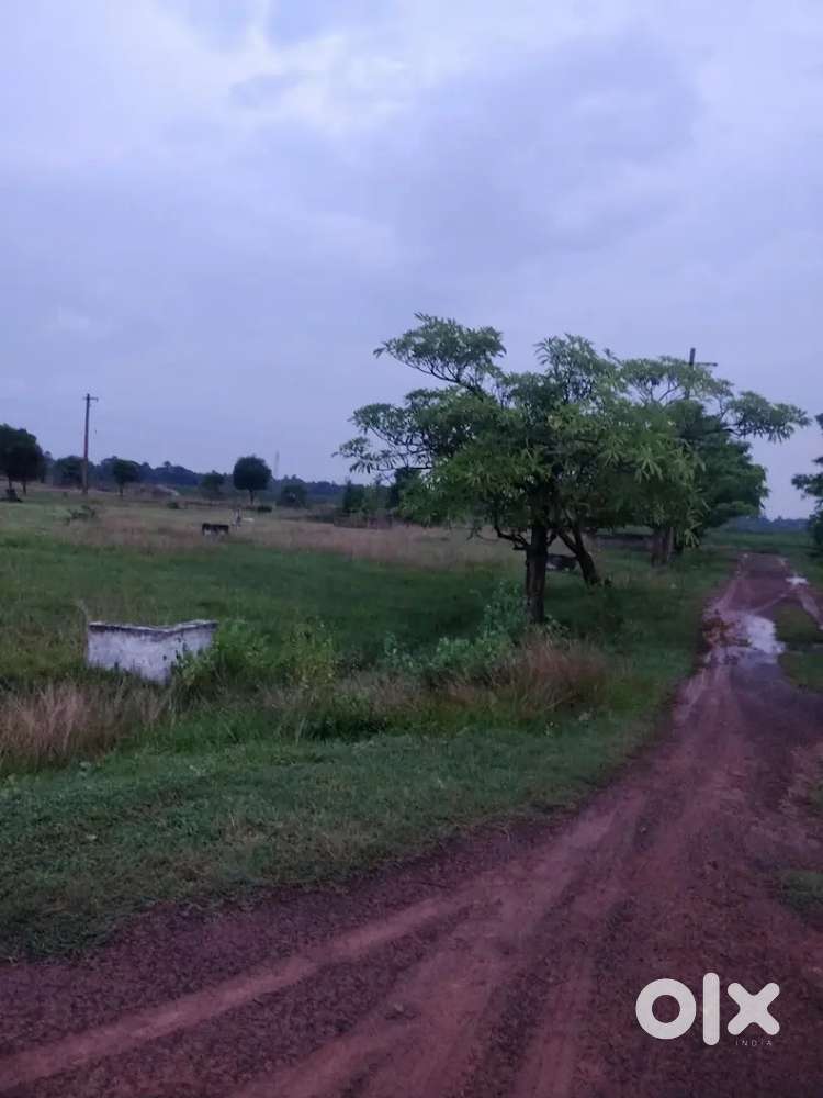 Prime Residential Plot for Sale – Thimmapuram, Kakinada