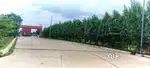 1250 sqft East facing plot available in Royale avenue