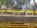Urgent school bus driver required