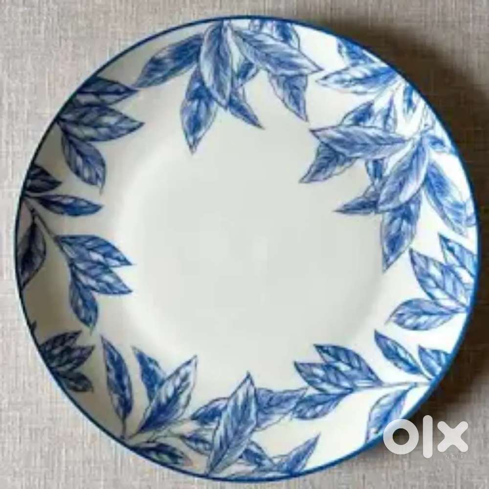 Dinner plate