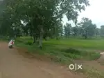 Big plot for rent