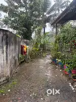 4 cent plot near aster medcity