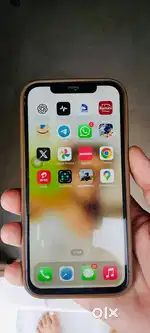12 pro maxx