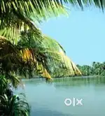 വരാപ്പുഴയിൽ മുട്ടിനകത്ത് പുഴയോട് ചേർന്ന് 28 സ്ഥലം