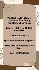 Urgent Wanted Sales Staffs