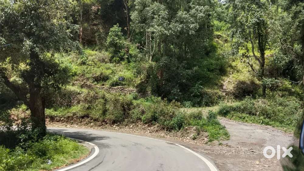 Sun-kissed main road hostel setup direct owner residental land 240 gaj