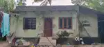 A House and 10 cent land for sale