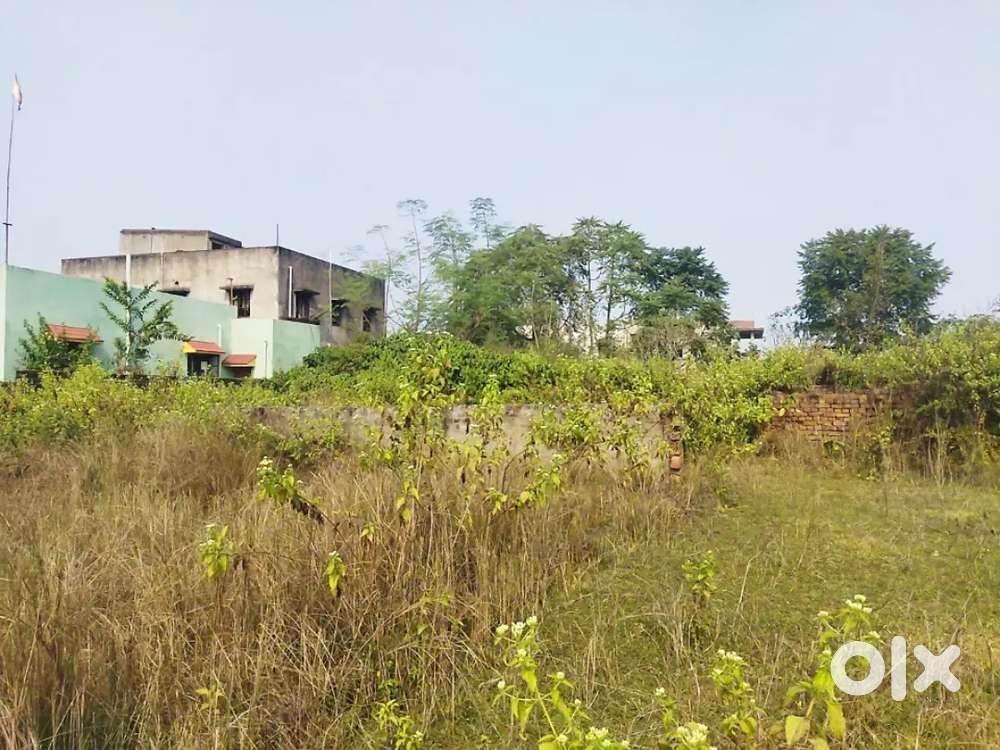 6 Decimal Residential Plot In KK Singh Colony