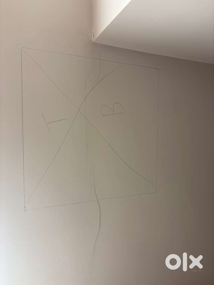 Need room partner