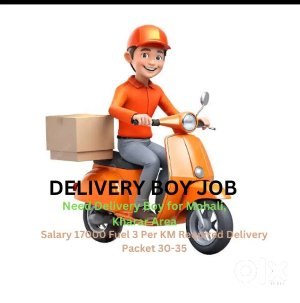 Courier Delivery Boy