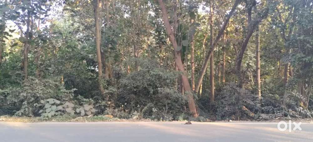 Main road market ke pass