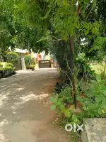 BBMP A-katha,40*55.5