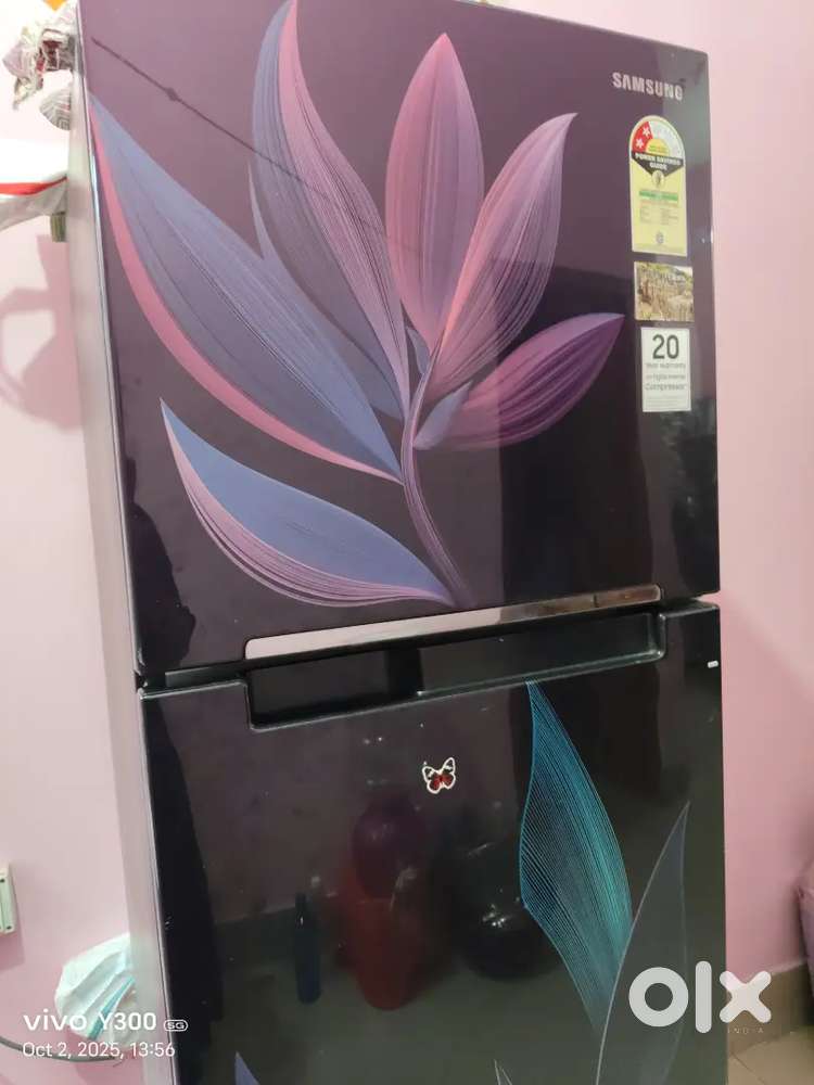Samsung  dubble door