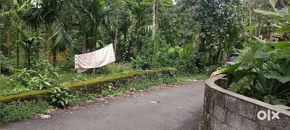 ANGAMALY NEAR BY 4,5,7, 10, CENT PLOTS AVAILABLE