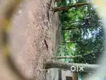 4 cents property for sale / 4 സെൻറ്  വിൽപ്പനയ്ക്ക്  ഇളമാട്