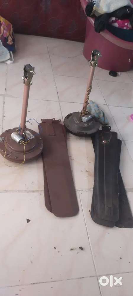 Crompton ceeling fans