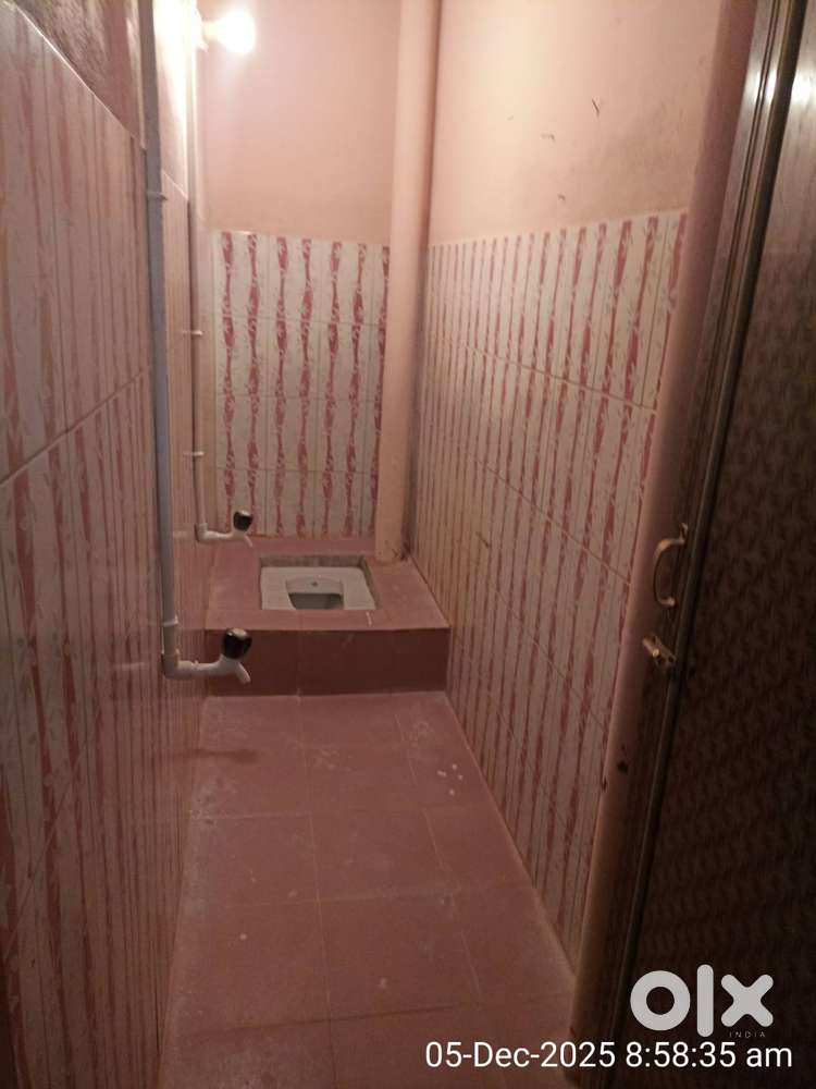 Individual house for bachelor girls