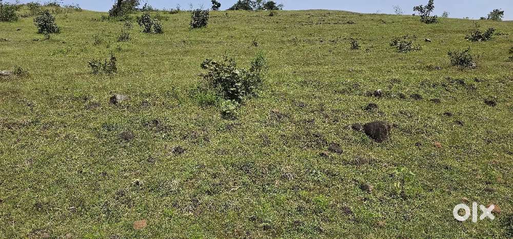 Agriculture Land Sale शेत जमिन विकणे आहे