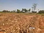 90 Cent vacant agriculture land for sale