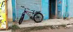 Double Disc fat tyres