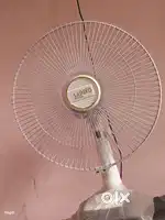 Sainko super fan