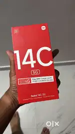 USING @ 2 WEEK