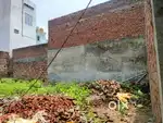 Excellent Dimansion