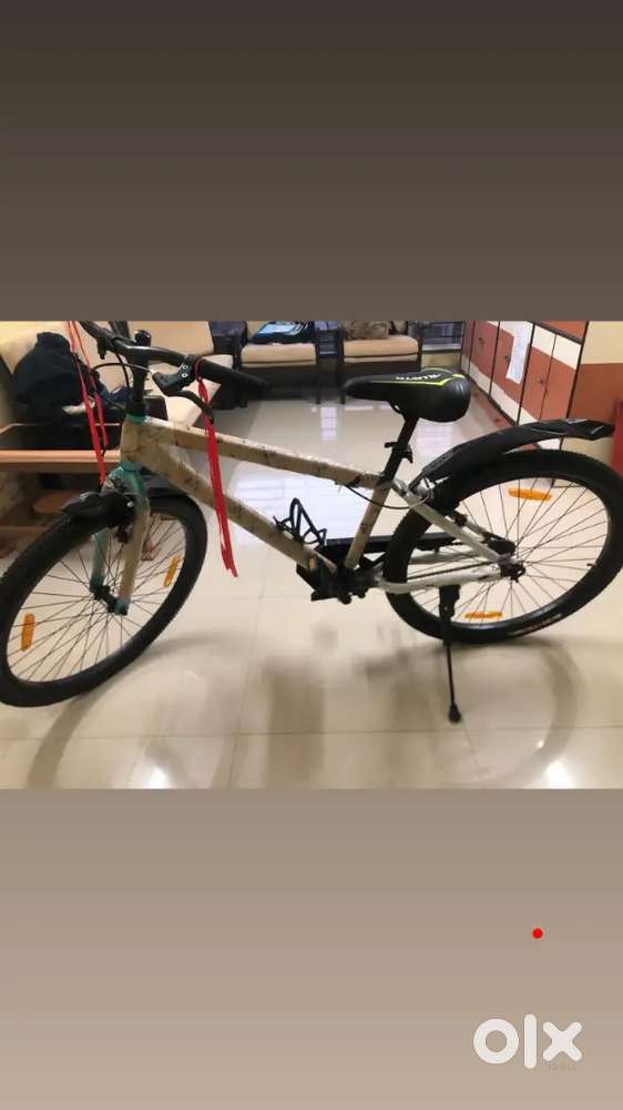 Allwyn company cycle