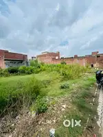 Best size plot for sale