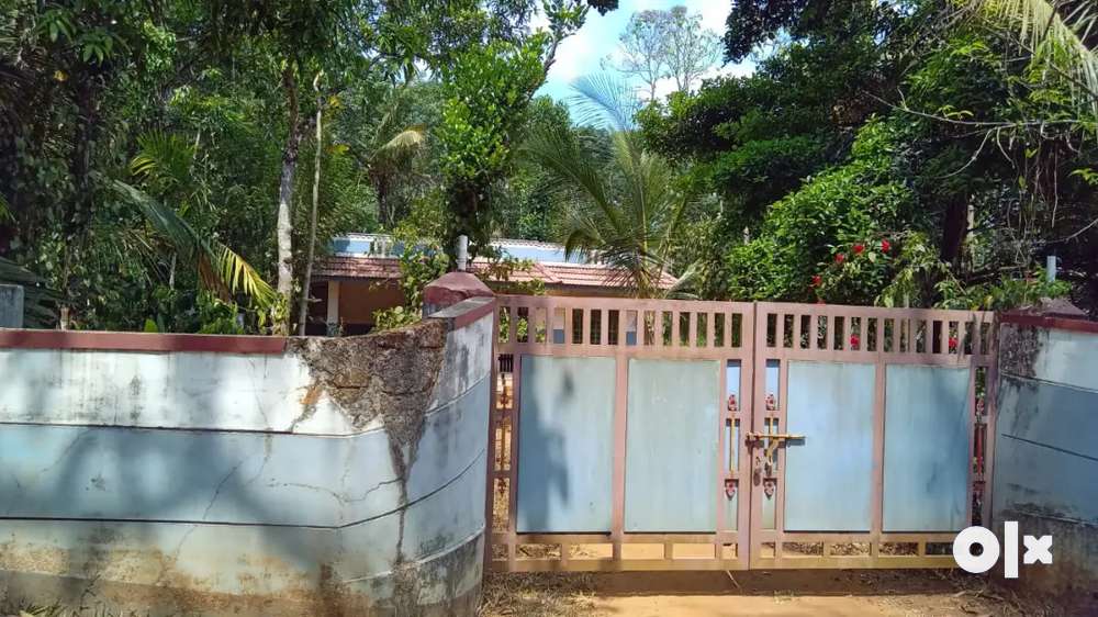 A house with all facilities for rent ,Around 1.5km from pulppally