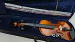 Violin Kadence V001C