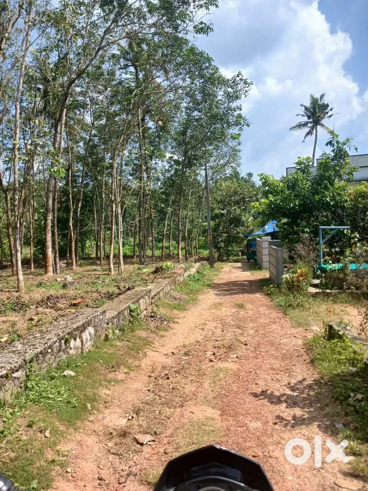 Property at Parippally for sale 20 cent