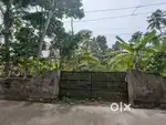 19.5 Cent for sale near Palamukku.1 km from Kannanalloor -kundara road