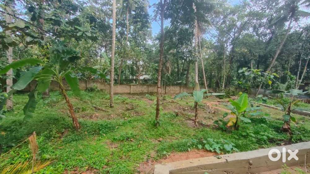 6 cent residential plot for sale