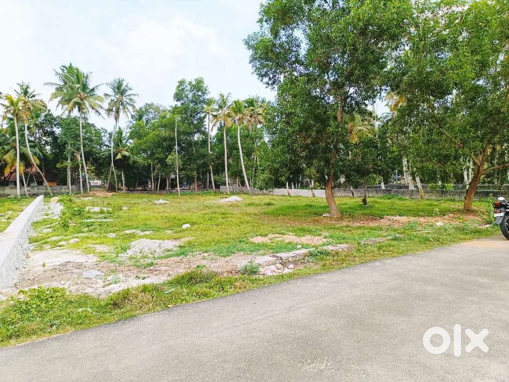 Kazhakkoottam Vetturoad 50 Cent land sale 6 lakhs Cent