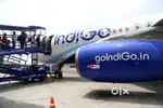 Hiring for Domestic and International Airport Jobs urgent apply.