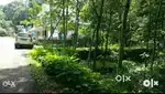 സ്ഥലം : ആയിരൂർ പുതിയകാവ് അമ്പലത്തിനു അടുത്ത്...