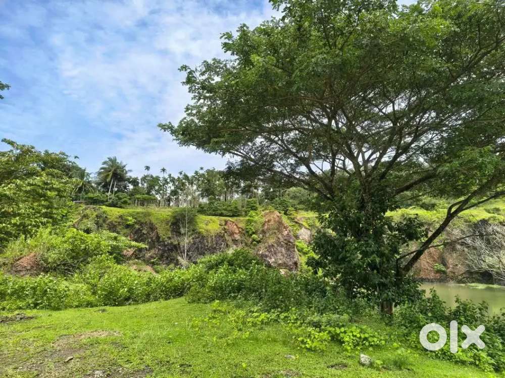 35,00000 interested person plss contact