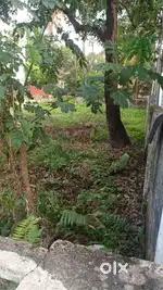 House Plots for Sale @ Vennala, Kaloor, Palarivattom &Thamanam