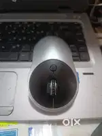 Mouse sale