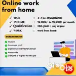 Need Freelance Data Entry Operator Part Time Work From Home No Target
